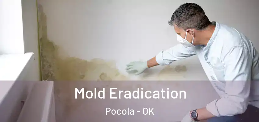  Mold Eradication Pocola - OK