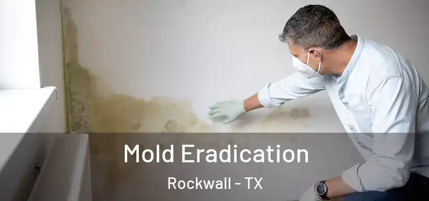  Mold Eradication Rockwall - TX