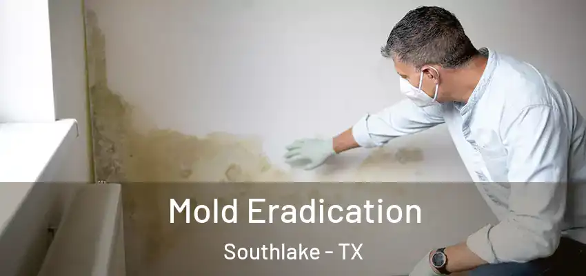  Mold Eradication Southlake - TX