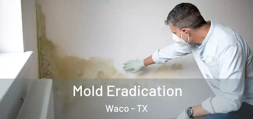  Mold Eradication Waco - TX