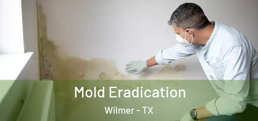  Mold Eradication Wilmer - TX