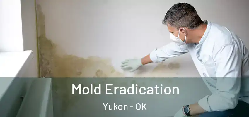  Mold Eradication Yukon - OK
