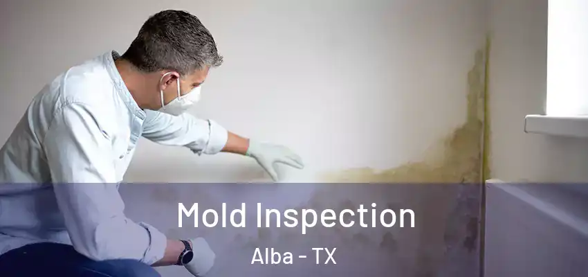 Mold Inspection Alba - TX