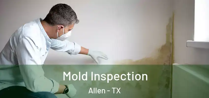  Mold Inspection Allen - TX