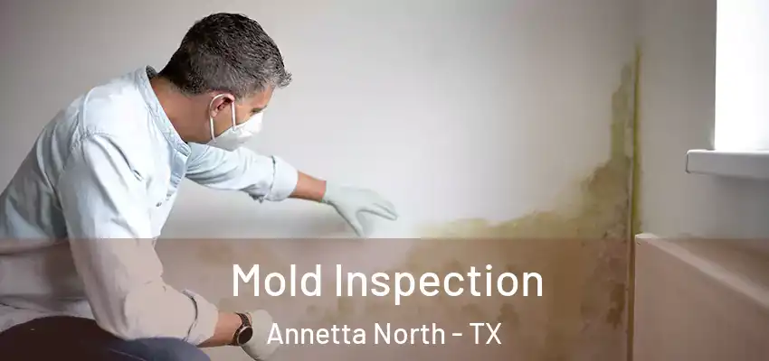  Mold Inspection Annetta North - TX