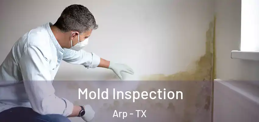 Mold Inspection Arp - TX