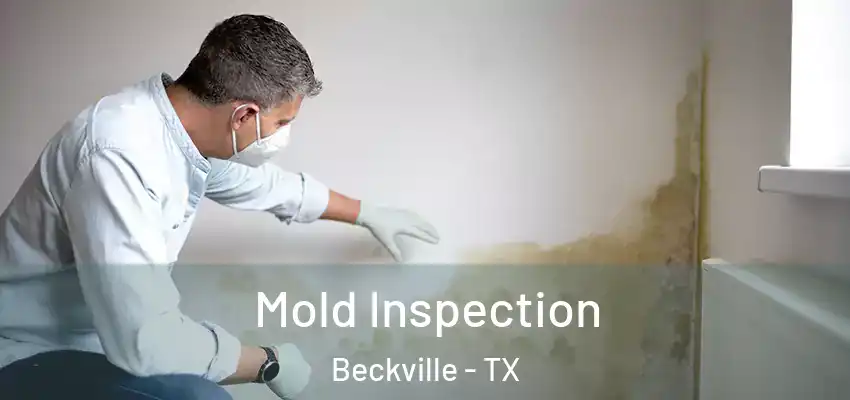 Mold Inspection Beckville - TX