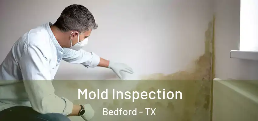  Mold Inspection Bedford - TX