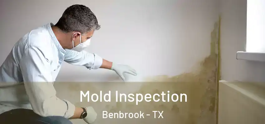 Mold Inspection Benbrook - TX