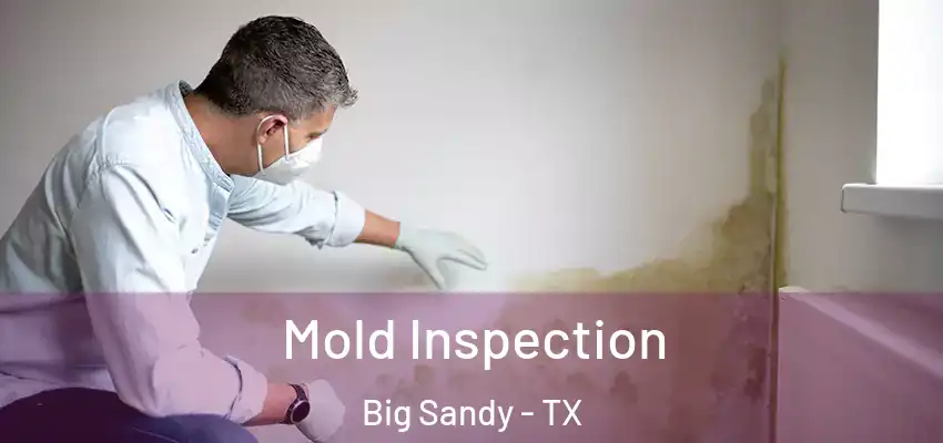 Mold Inspection Big Sandy - TX