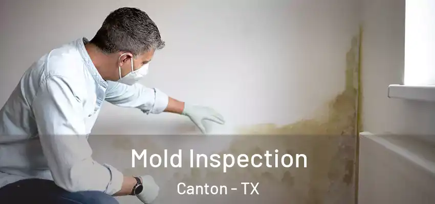 Mold Inspection Canton - TX