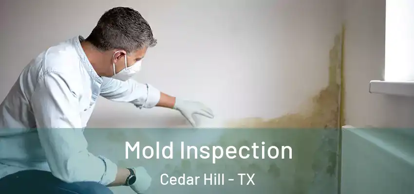  Mold Inspection Cedar Hill - TX