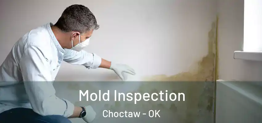  Mold Inspection Choctaw - OK