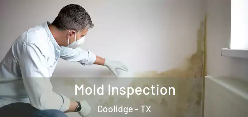  Mold Inspection Coolidge - TX
