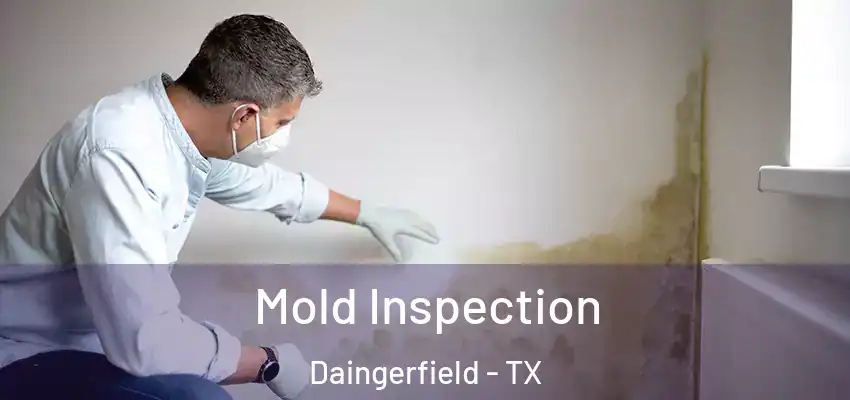  Mold Inspection Daingerfield - TX