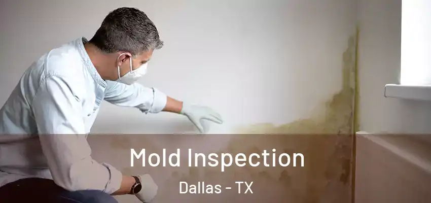  Mold Inspection Dallas - TX