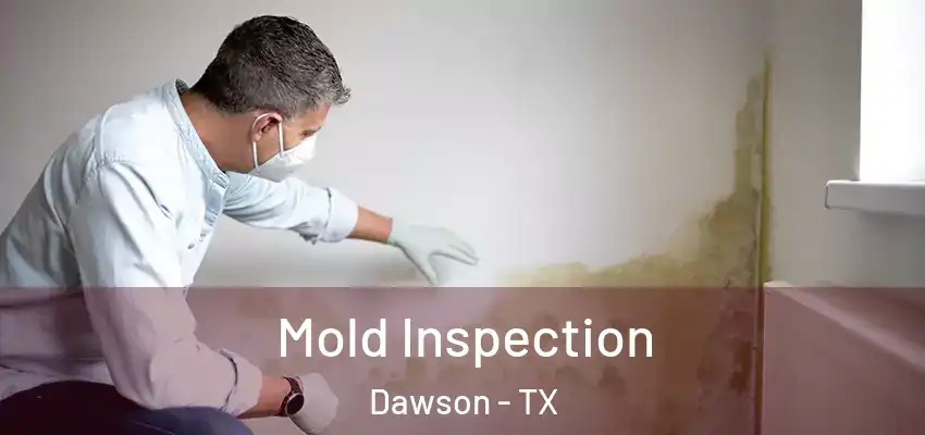  Mold Inspection Dawson - TX