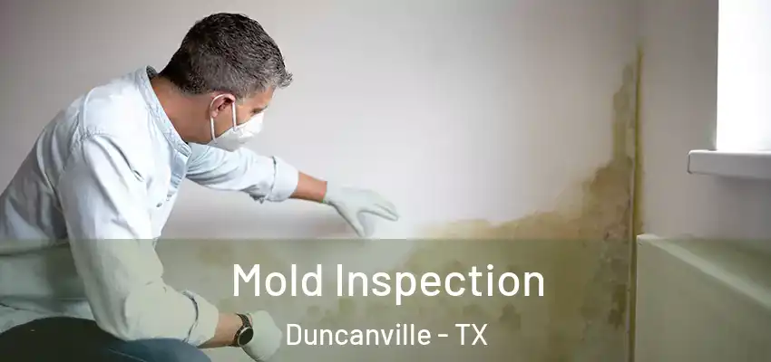  Mold Inspection Duncanville - TX