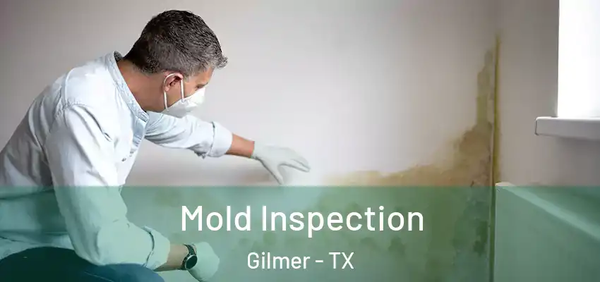  Mold Inspection Gilmer - TX