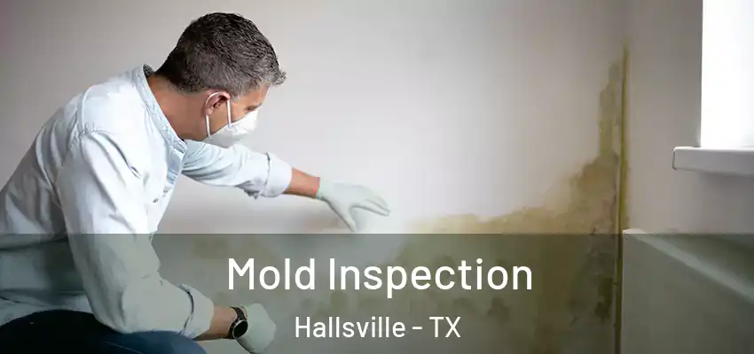  Mold Inspection Hallsville - TX