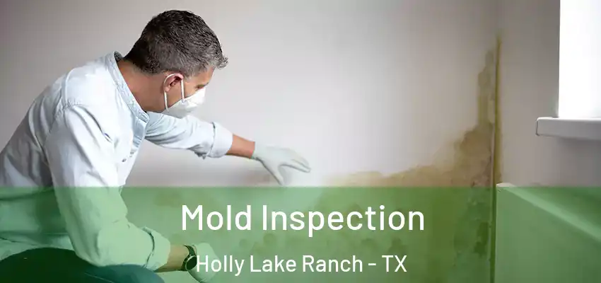  Mold Inspection Holly Lake Ranch - TX