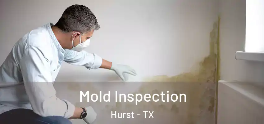Mold Inspection Hurst - TX