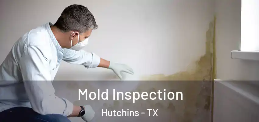  Mold Inspection Hutchins - TX