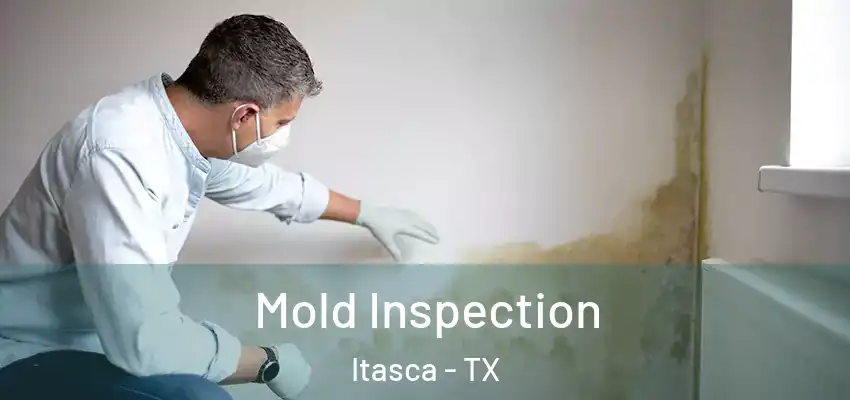  Mold Inspection Itasca - TX