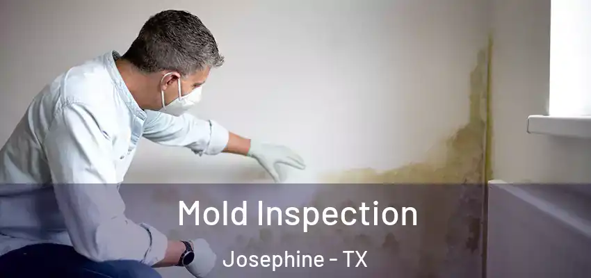  Mold Inspection Josephine - TX