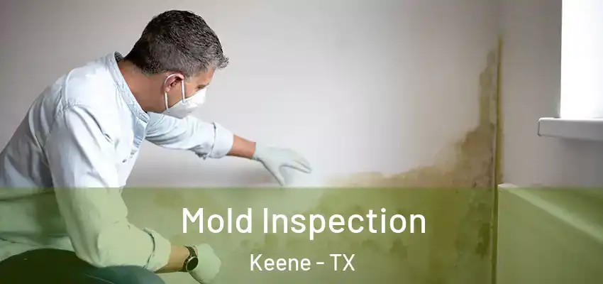  Mold Inspection Keene - TX