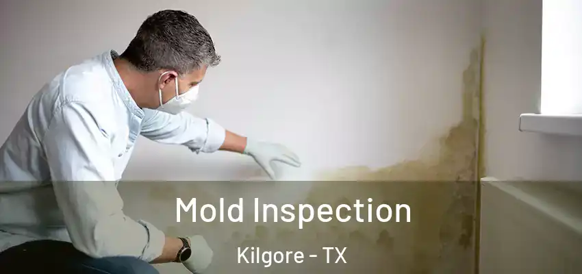 Mold Inspection Kilgore - TX