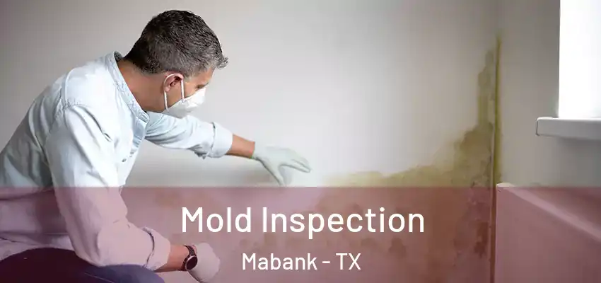  Mold Inspection Mabank - TX