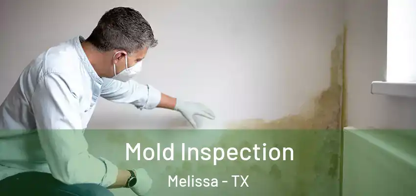  Mold Inspection Melissa - TX