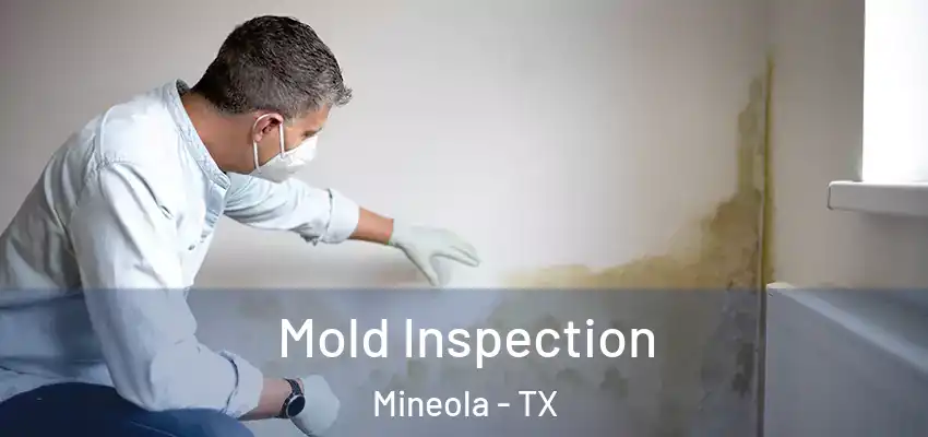  Mold Inspection Mineola - TX
