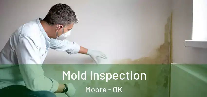 Mold Inspection Moore - OK