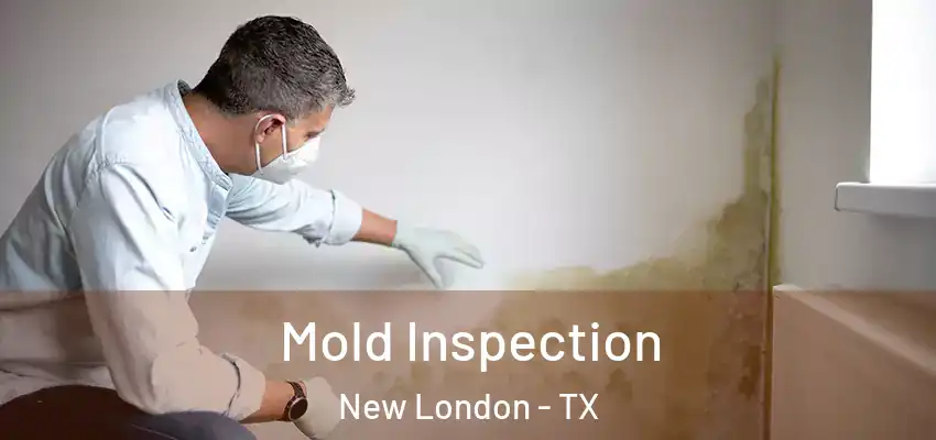  Mold Inspection New London - TX