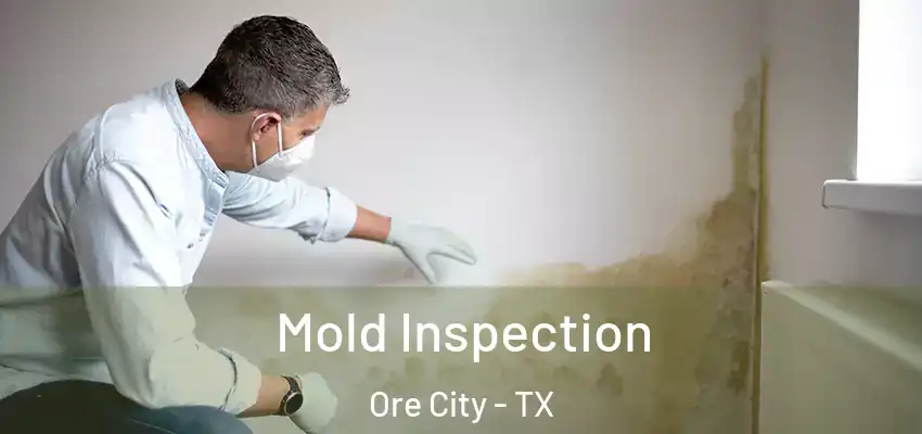  Mold Inspection Ore City - TX