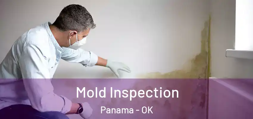 Mold Inspection Panama - OK