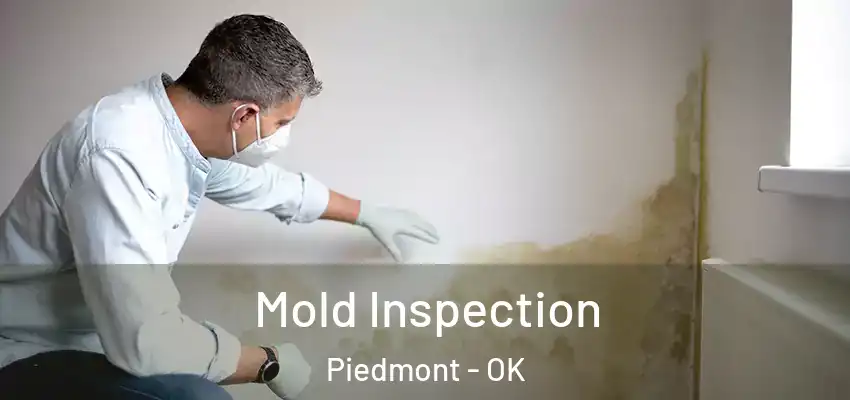  Mold Inspection Piedmont - OK