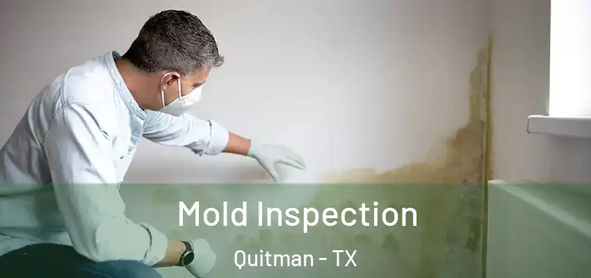  Mold Inspection Quitman - TX