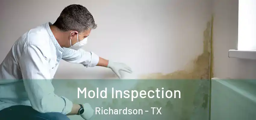  Mold Inspection Richardson - TX