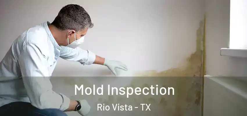 Mold Inspection Rio Vista - TX