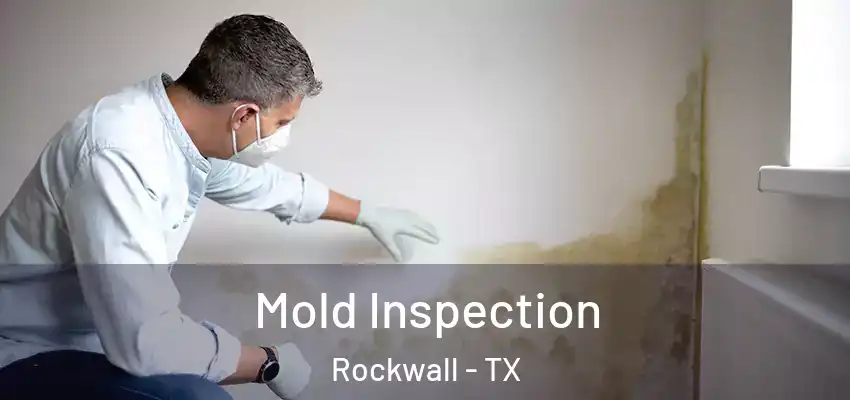  Mold Inspection Rockwall - TX