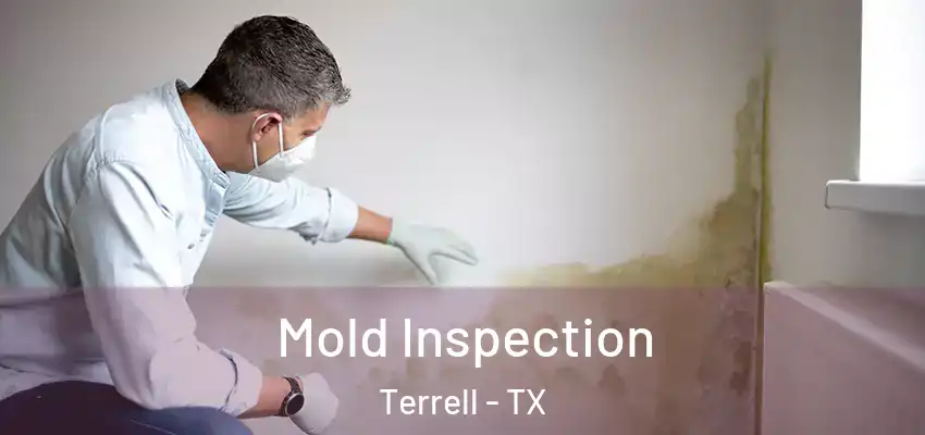  Mold Inspection Terrell - TX