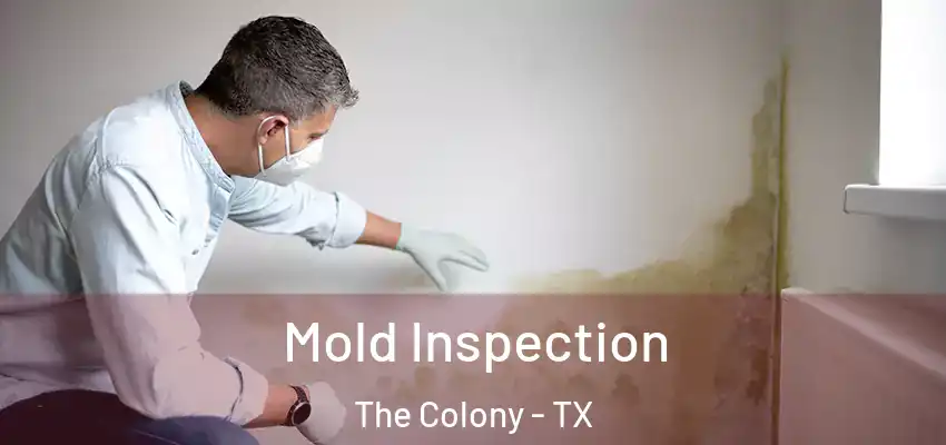  Mold Inspection The Colony - TX