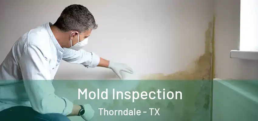  Mold Inspection Thorndale - TX