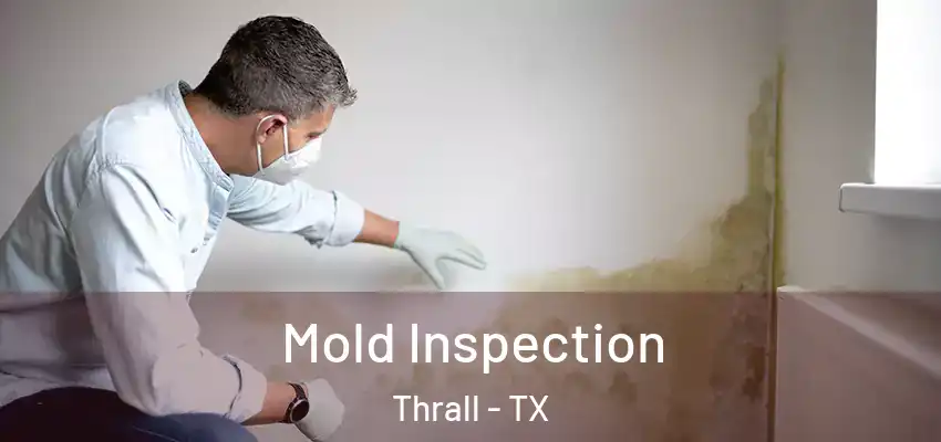  Mold Inspection Thrall - TX