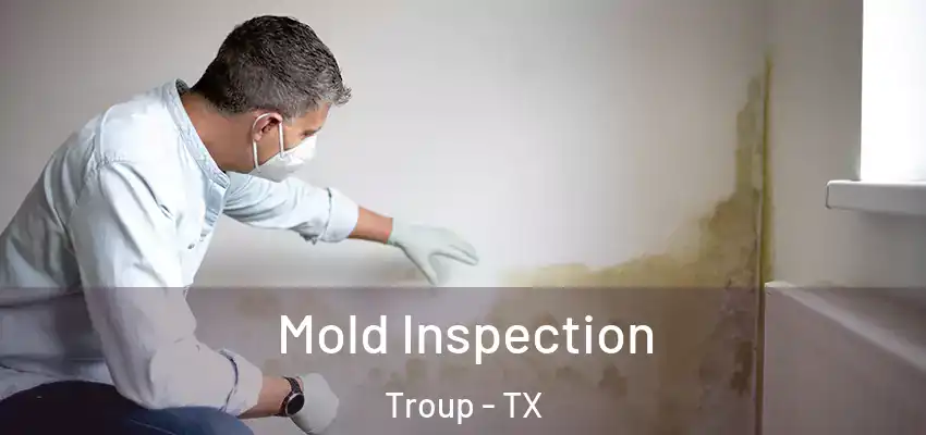 Mold Inspection Troup - TX