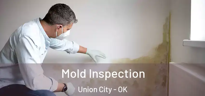  Mold Inspection Union City - OK