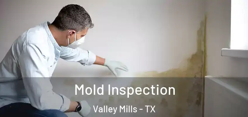 Mold Inspection Valley Mills - TX